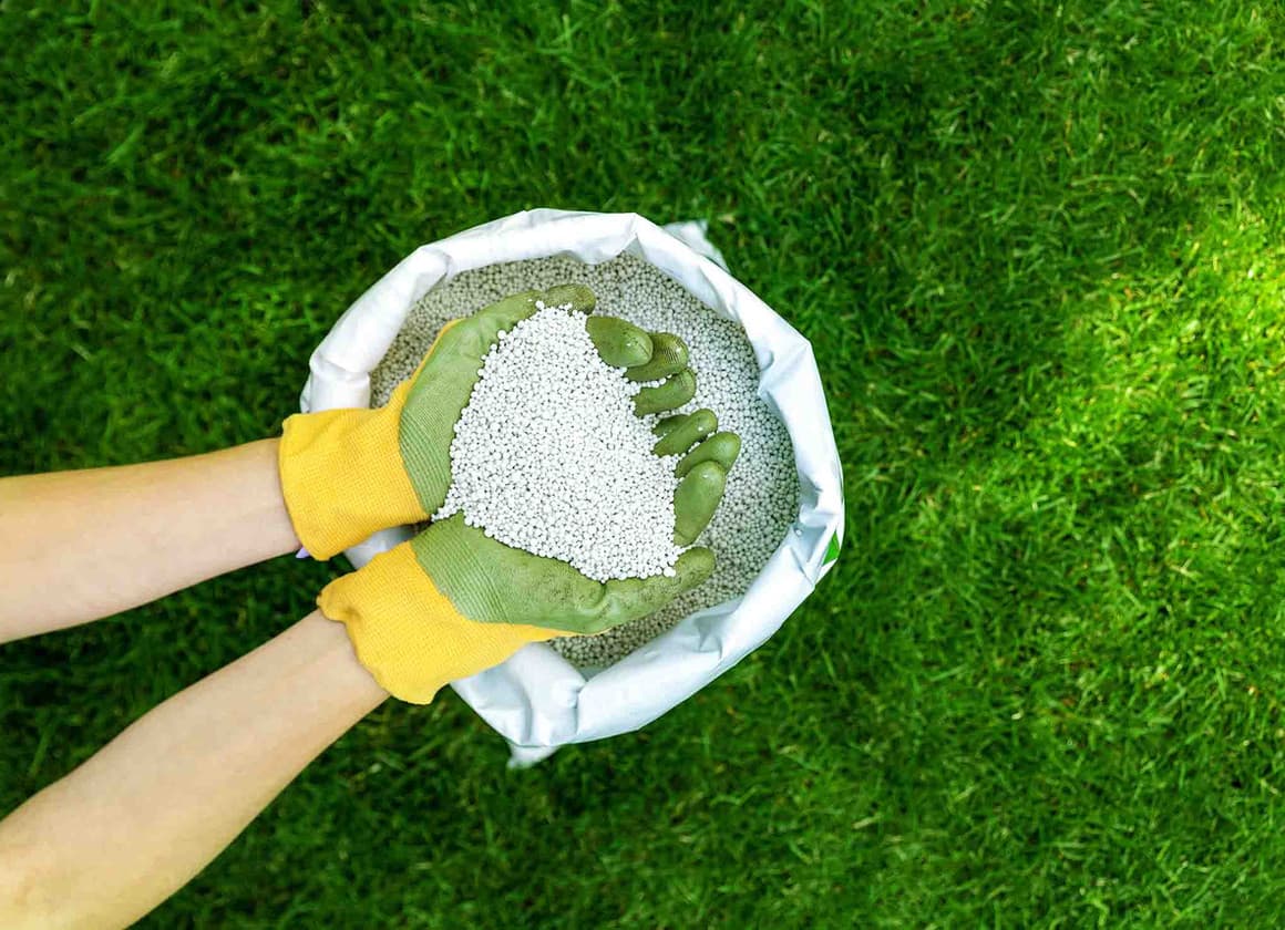 Pelletized lime for lawn soil pH correction and conditioning