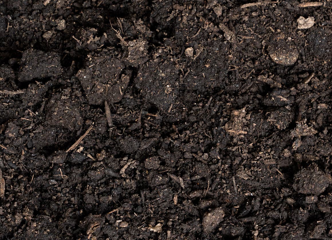 Mushroom manure compost organic soil amendment for gardens