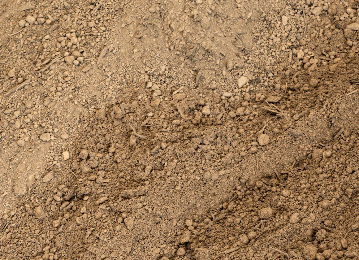 Screened topsoil sifted and ready for planting and lawn repair